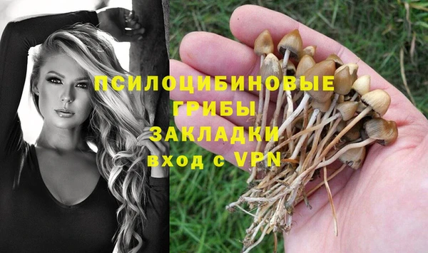 mix Алексин