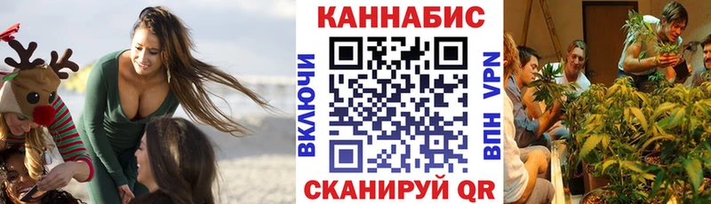 Купить где Абинск Бошки Шишки сатива